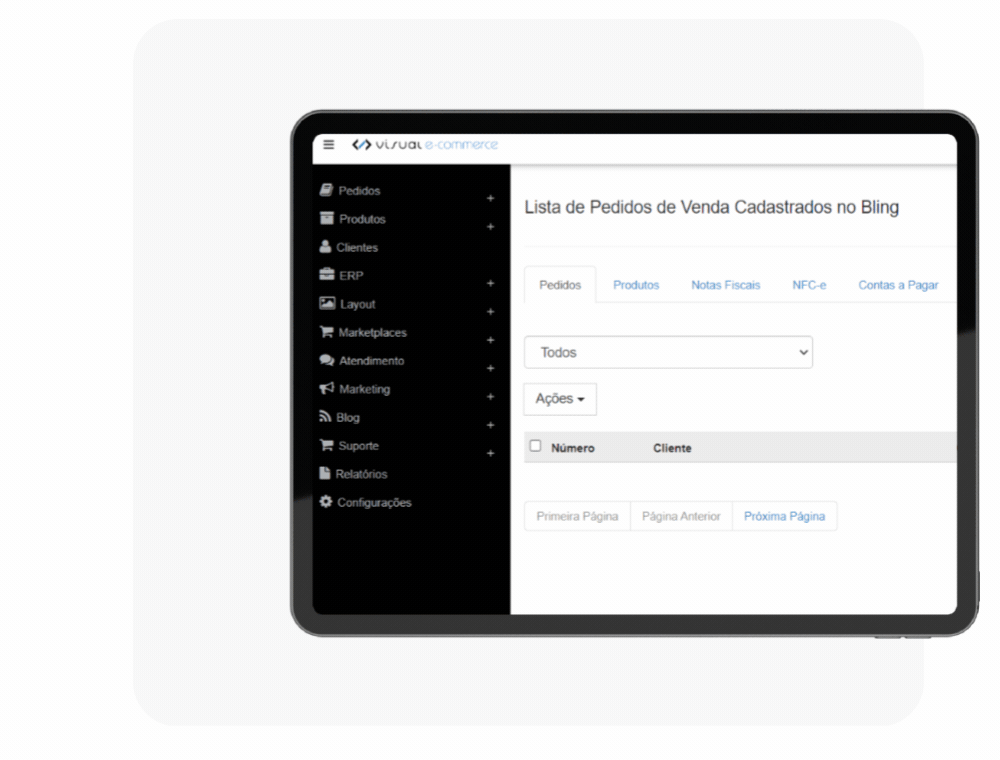 Integração Visual E-commerce com ERPs para loja virtual - Envio de pedidos, produtos e emissão de notas fiscais