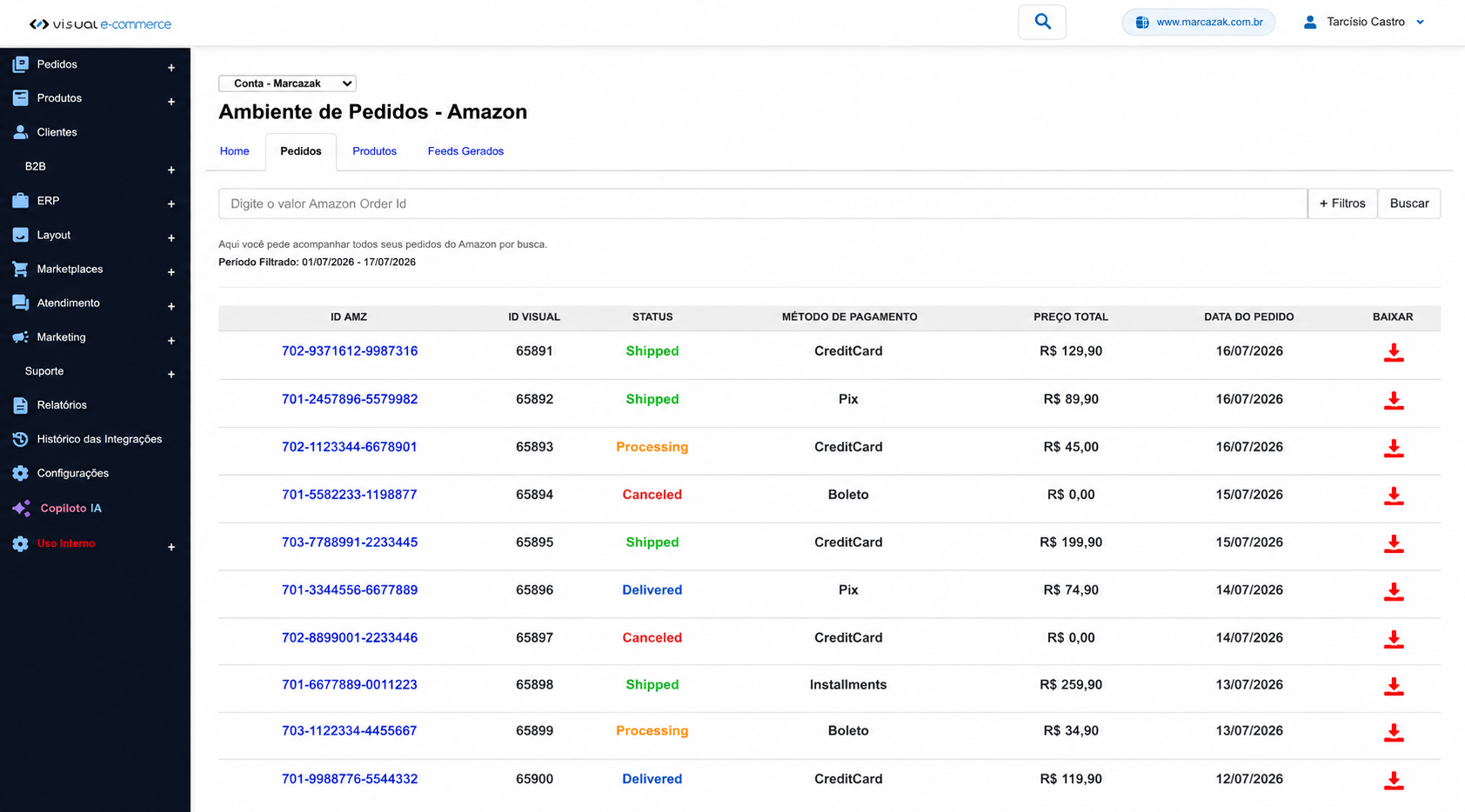 Painel de integração com Amazon da Visual E-commerce